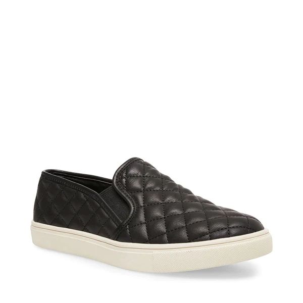 ecentrcq black | Steve Madden (US)