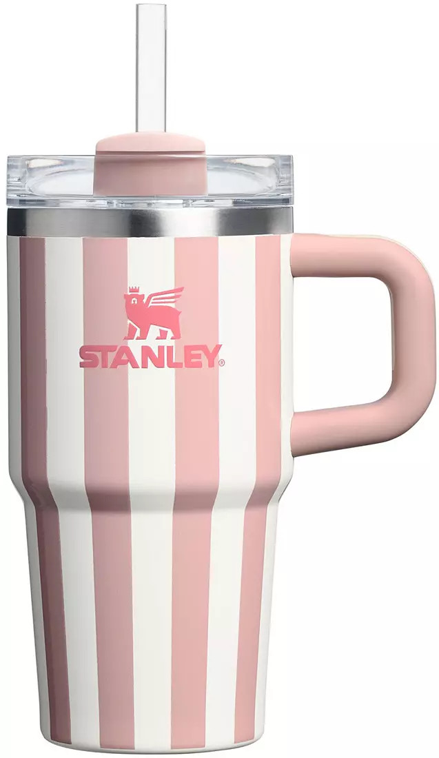 Stanley 20 oz. Quencher H2.0 FlowState Tumbler - Oasis Collection | DICK'S Sporting Goods