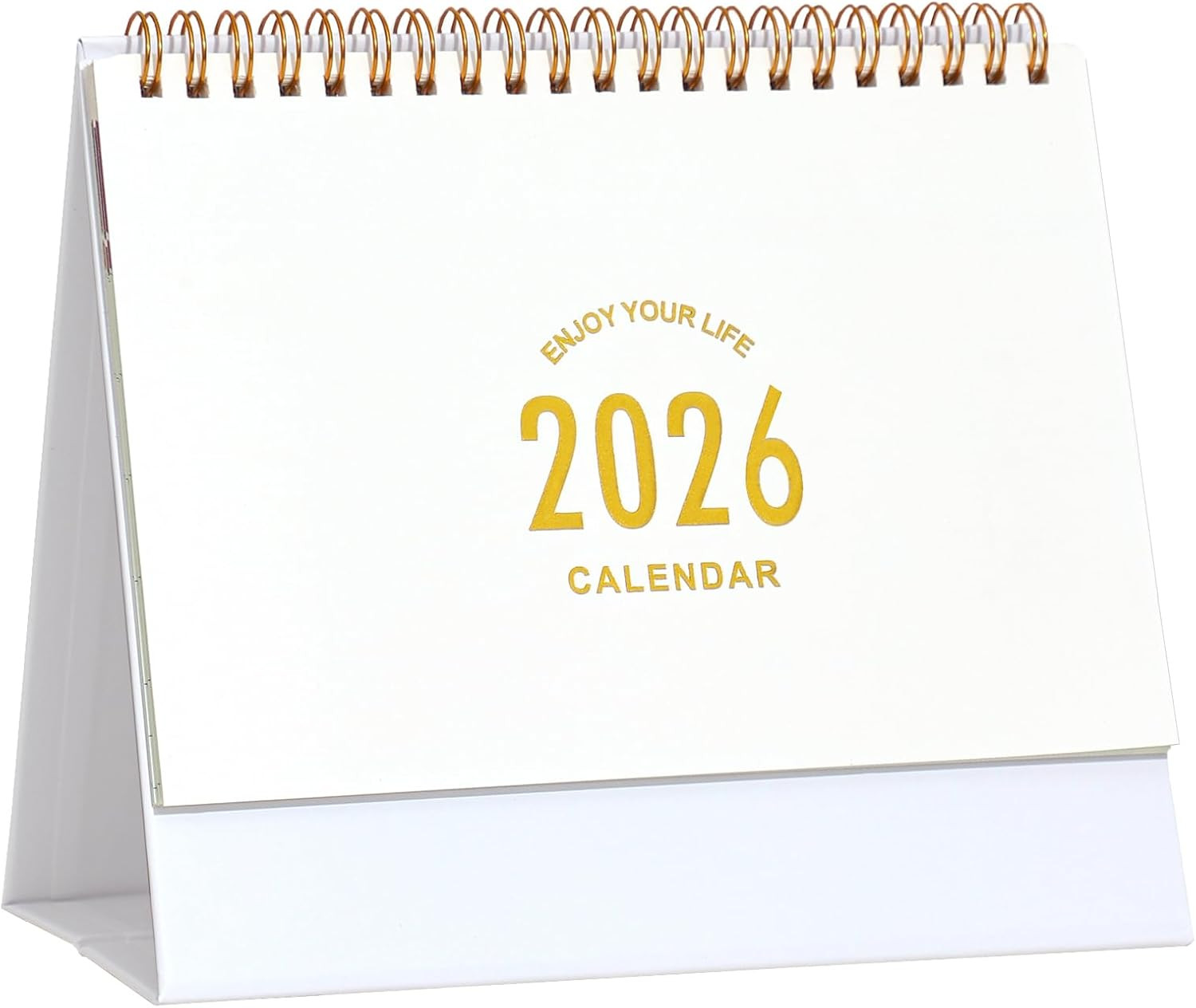 Small Desk Calendar 2025-2026, Desktop Calendar from Now to Dec 2026, Metal Ring Twin-Wire Bindin... | Amazon (US)