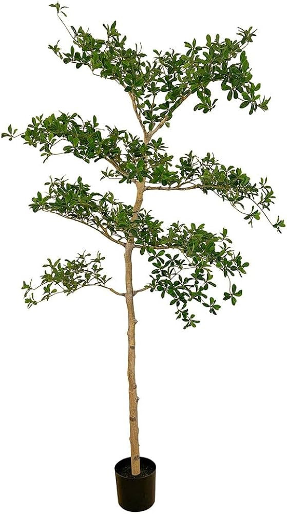 6' Shady Lady Olive Silk Tree w/Pot -Green | Amazon (US)