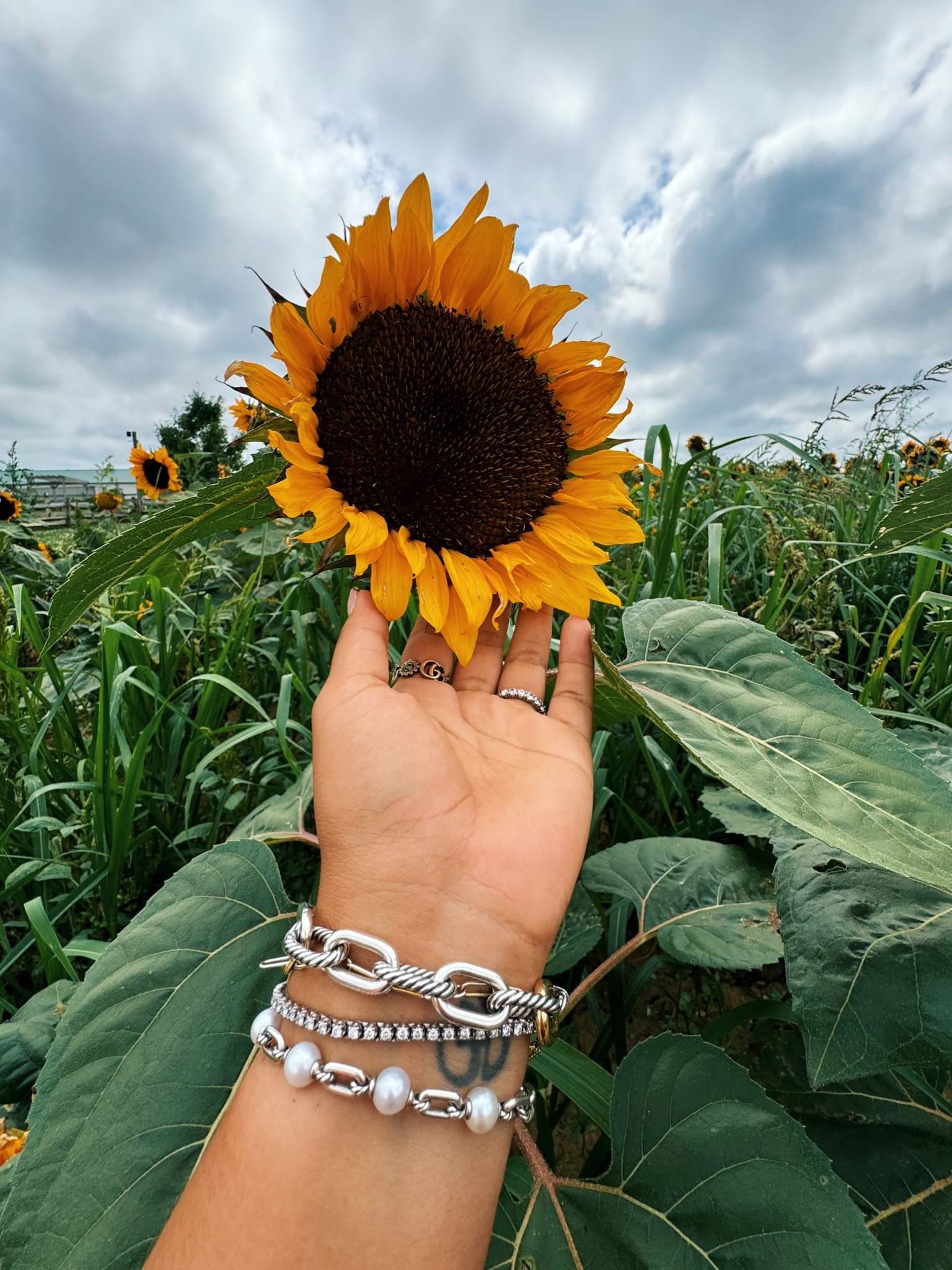 Arm candy #jewlery 

#LTKStyleTip