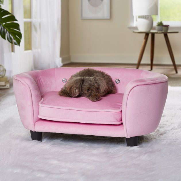 Enchanted Home Pet Serena Sofa Cat & Dog Bed w/ Removable Cover | Chewy.com
