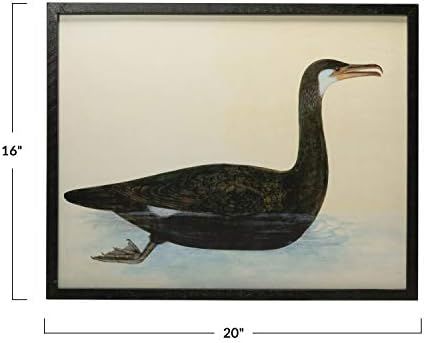Creative Co-Op Wood & MDF Framed Vintage Reproduction Bird Image, Black Wall Décor : Home & Kitc... | Amazon (US)