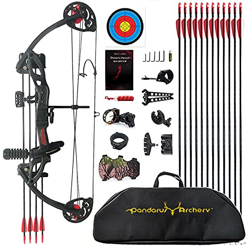Compound Bow Archery for Youth and Beginner, Right Handed,19”-28” Draw Length,15-29 Lbs Draw ... | Amazon (US)