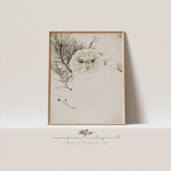 Vintage Owl Minimalist Sketch Print  Antique Woodland Bird - Etsy | Etsy (US)