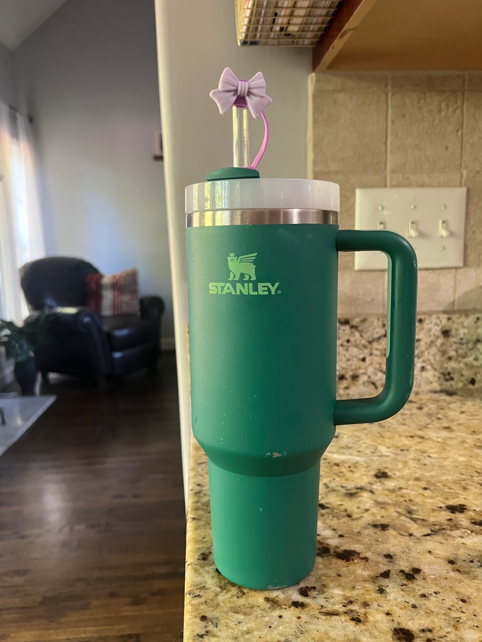 Trusty Stanley perfect to tote around the house to stay hydrated 

#LTKmomlife #LTKmorningroutine #LTKdayinmylife