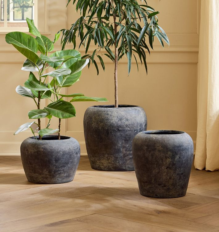 Lyre Terracotta Planters | Rejuvenation