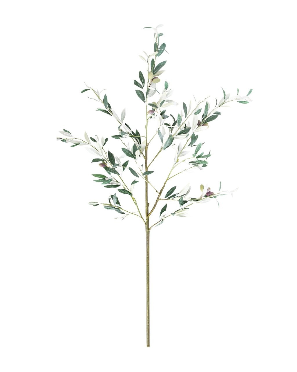 Faux Olive Branch | McGee & Co.