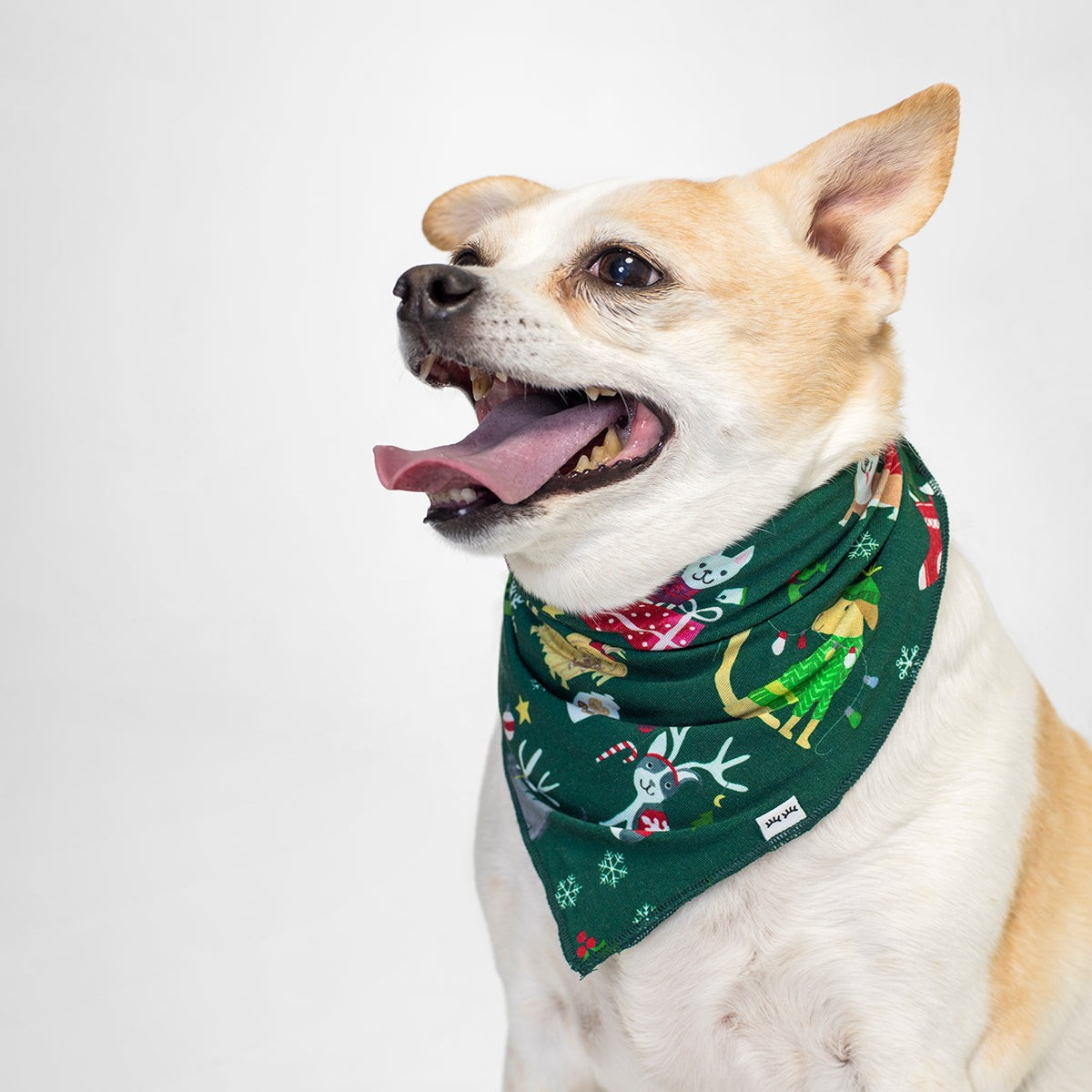 Holiday Hounds Bamboo Viscose Pet Bandana | Little Sleepies