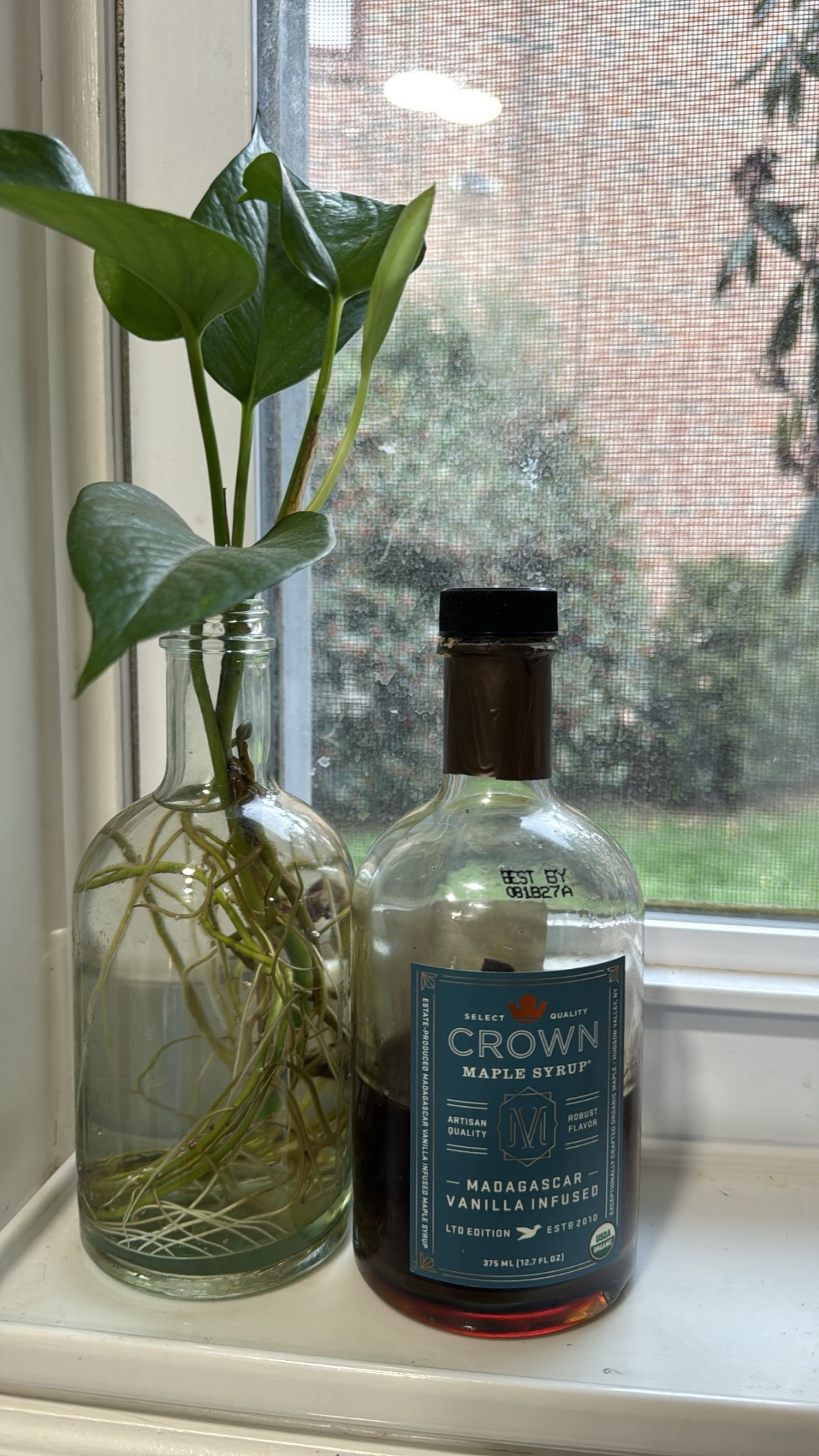 @crownmaple Maple Madagascar Vanilla Infused Organic Maple Syrup empty & repurchased , we love it with our pancakes 😋

#pancakes #maplesyrup

#LTKfoodie #LTKmomlife #LTKKids