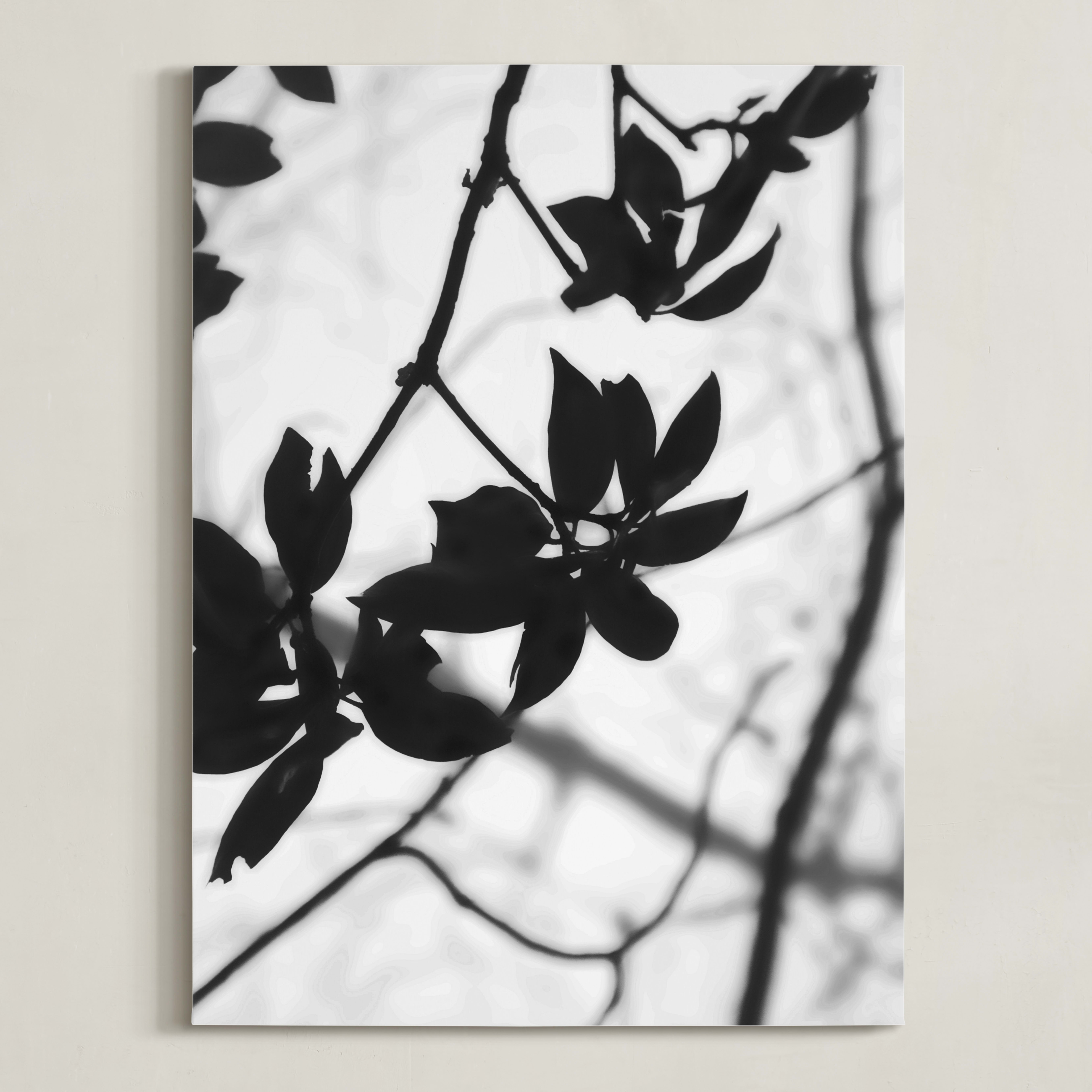 "Morning I" - Photography Limited Edition Art Print by Stellax Creative. | Minted