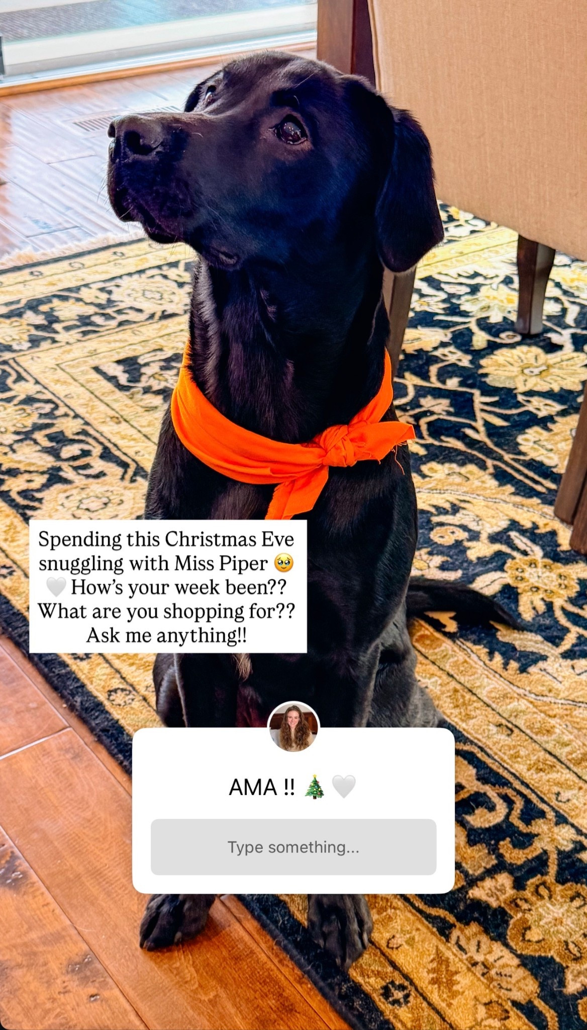 Ask me Anything live on my insta stories!! How are you spending your Christmas Eve?