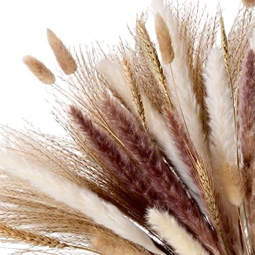 80pcs Dried Pampas Grass Flowers: 17" Natural Bouquet Decor Set of White & Brown Pampas, Reed, Bunny | Amazon (US)