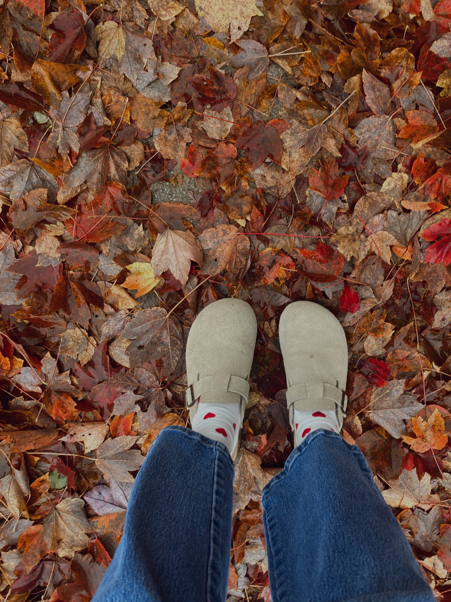 fall shoes! 🍂🍁

shoes: 8.5
socks: one size
jeans: 6

#LTKShoeCrush #LTKStyleTip