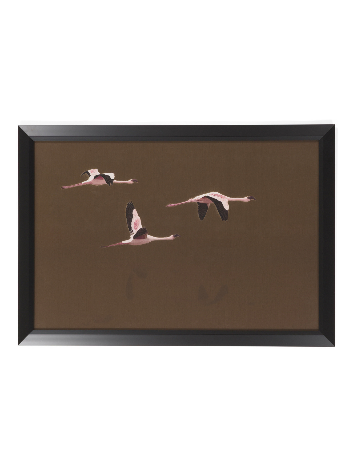40x28 Golden Flight Framed Wall Art | Marshalls
