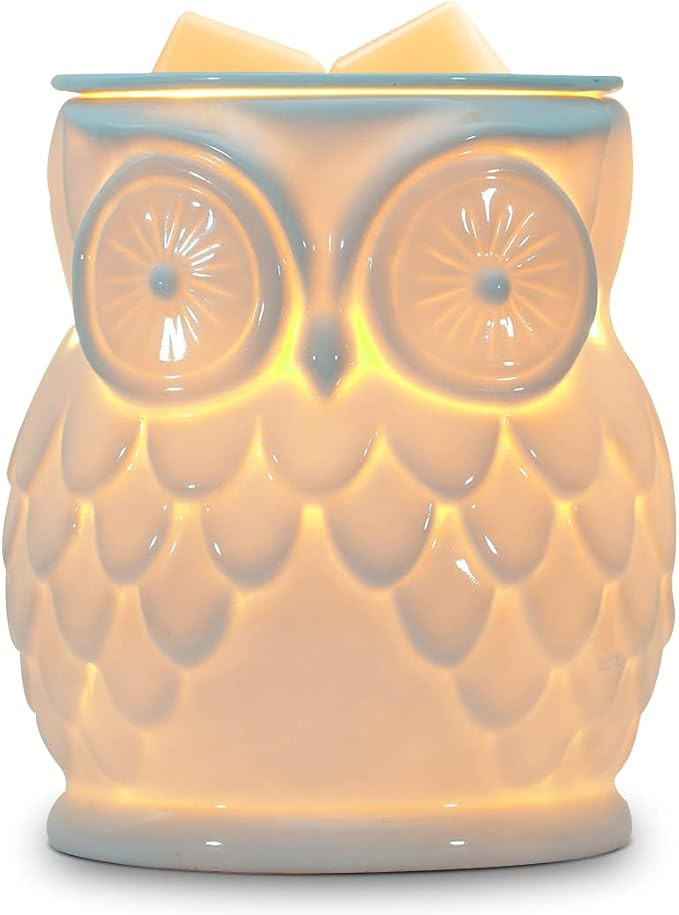 Bobolyn Electric Wax Melt Burner Ceramic Oil Burner Fragrance Warmer Melter Aromatherapy Burner f... | Amazon (US)