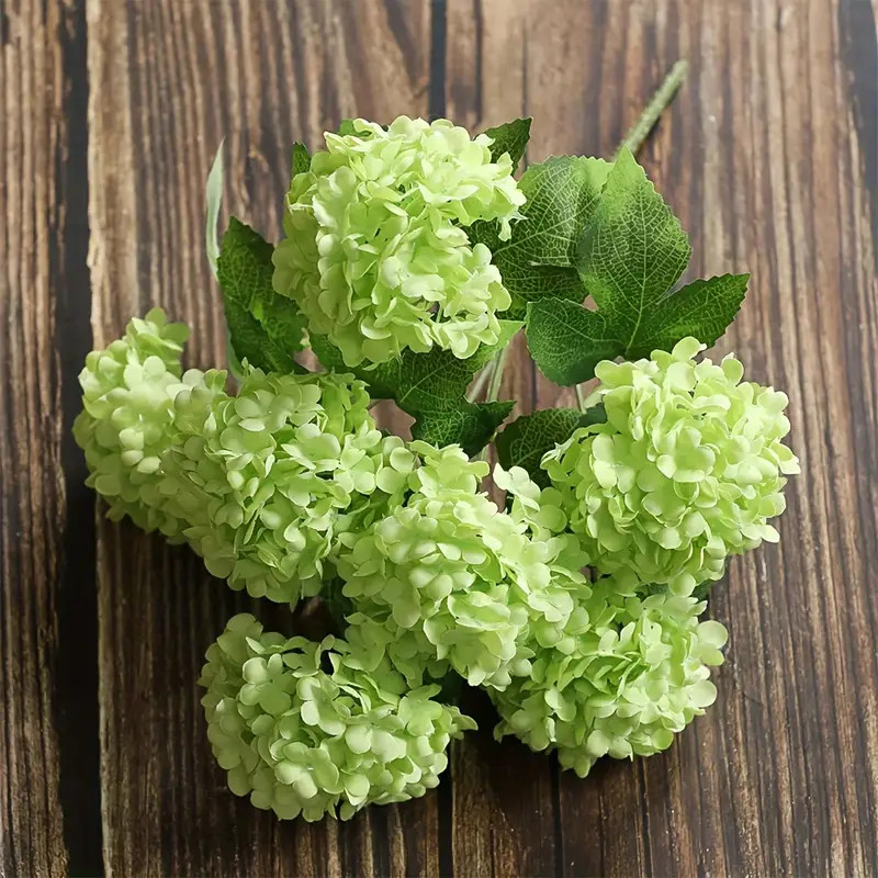 Sold by | Temu Affiliate Program