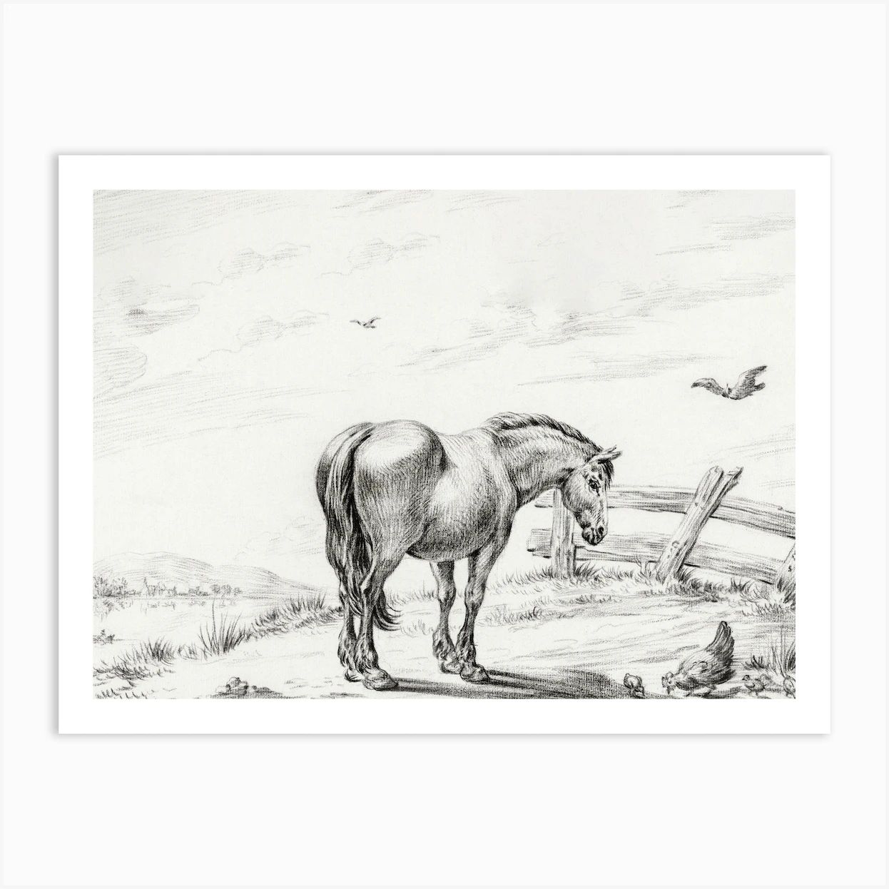Standing Horse At Chicken With Chicks, Jean Bernard Art Print | Fy! (UK)
