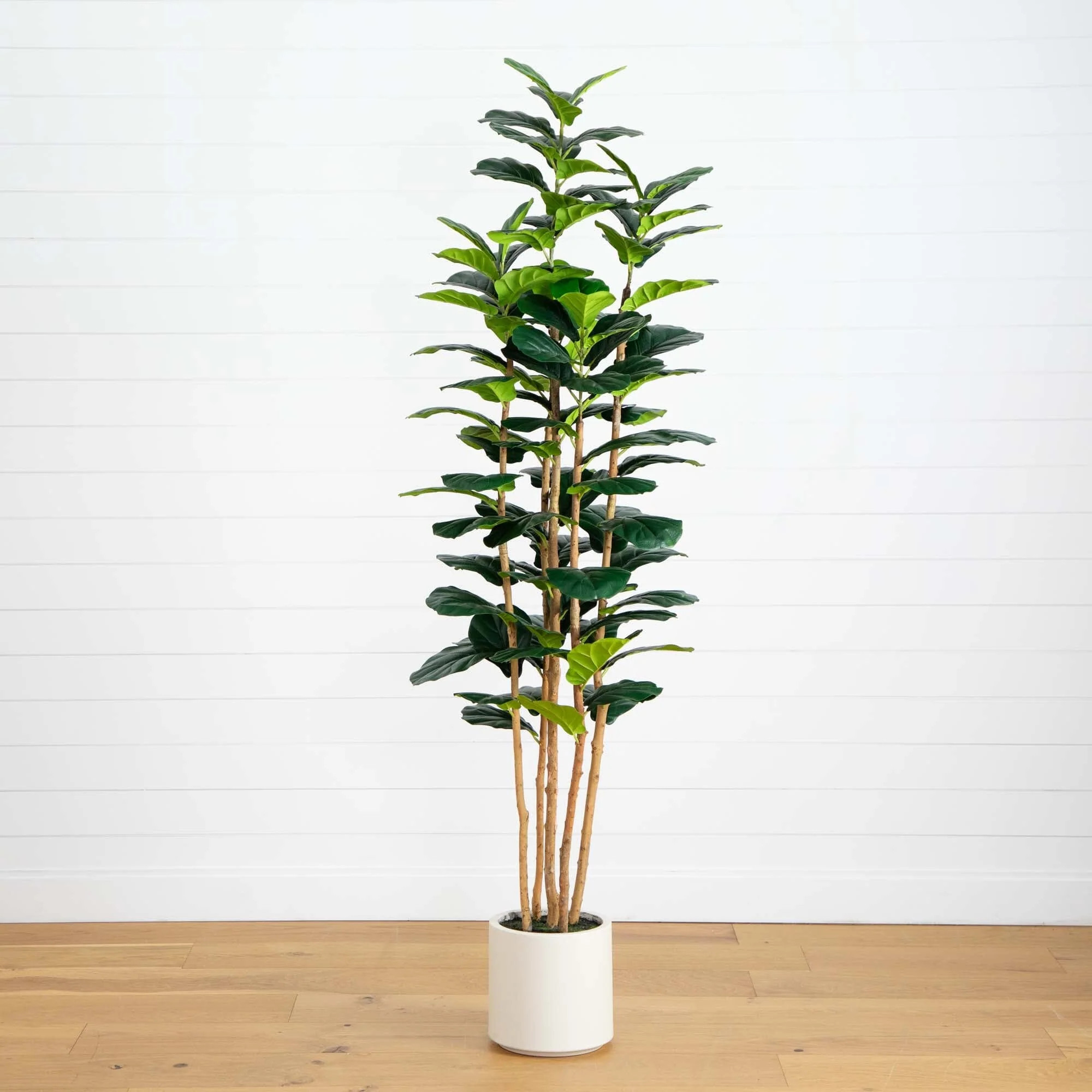 7\u2019 Artificial Fiddle Leaf Tree in Decorative White Planter | Nearly Natural | Nearly Natural