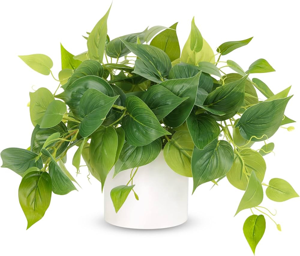 JPSOR Artificial Plants Indoor with Ceramic Pots, Artificial Small Fake Plants with Pothos for Ho... | Amazon (US)