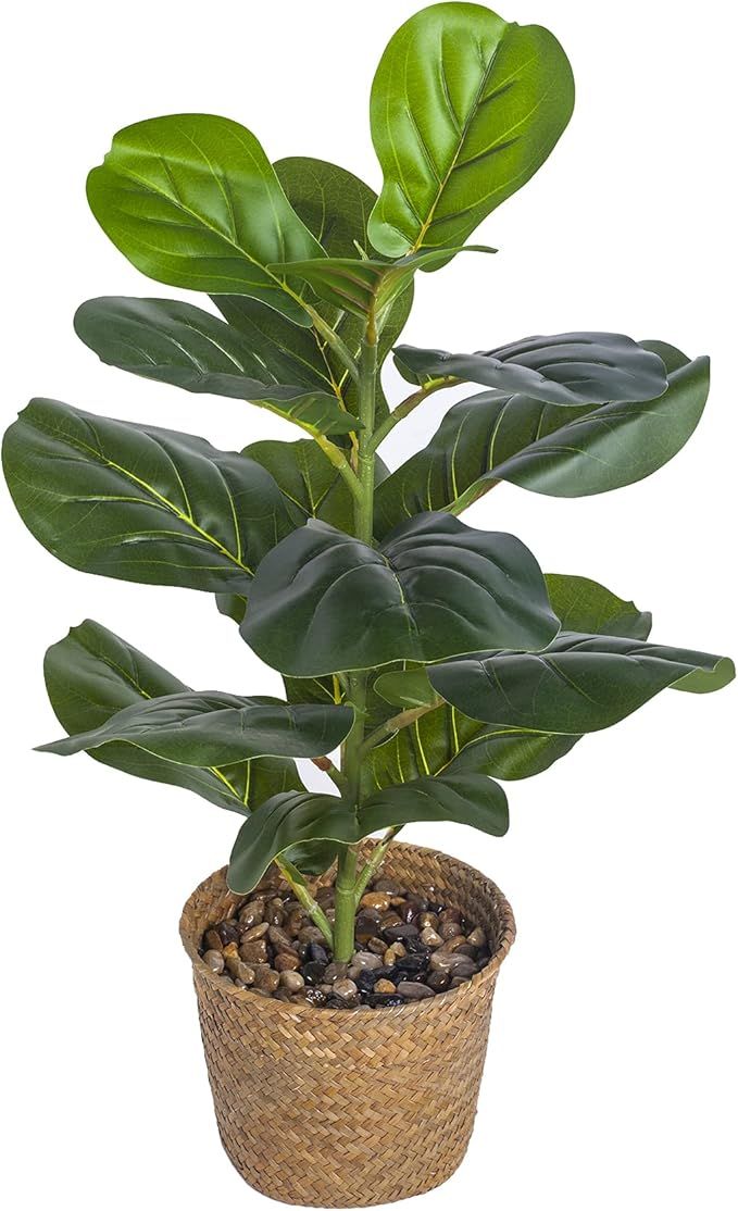 WITTY REMARK Fake Plants Artificial Large Ficus Leaf in Woven Pots 22 Inches for Home Decoration ... | Amazon (US)