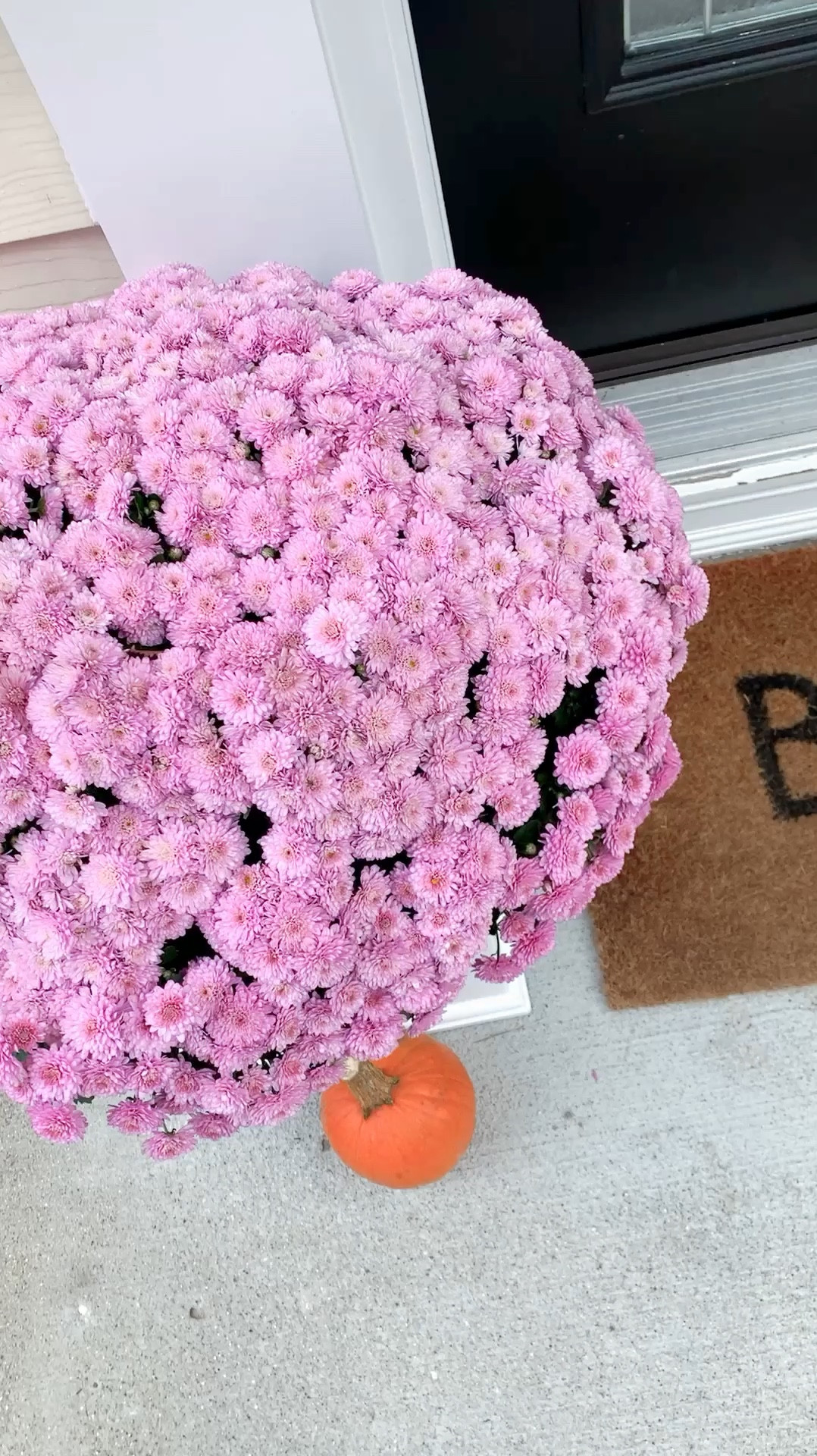 My fall front porch!

#LTKHalloween #LTKHome #LTKFindsUnder100