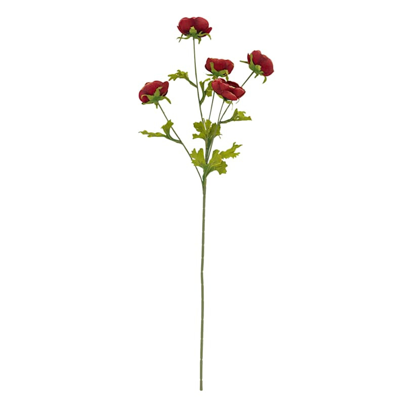 Red Ranunculus Stem, 28" | At Home