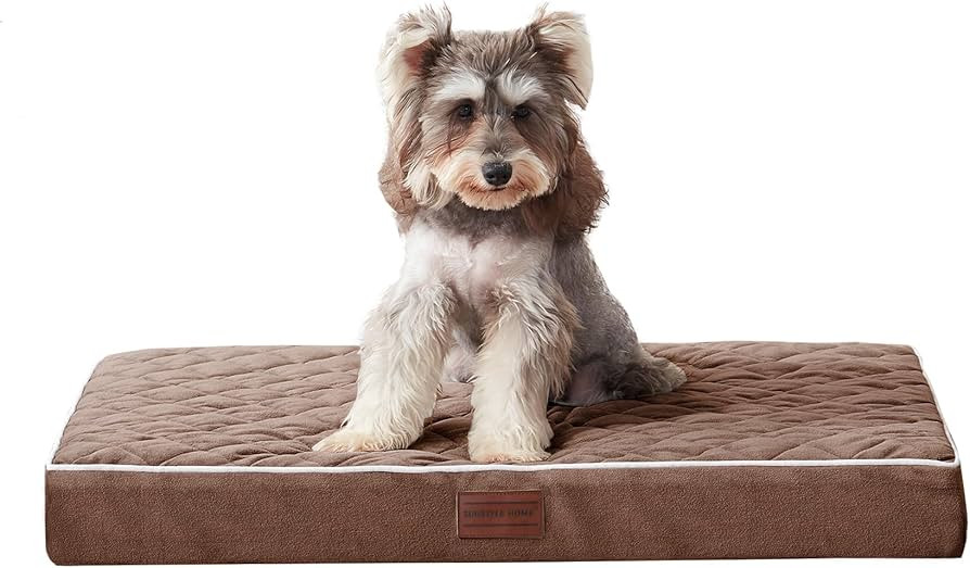 SunStyle Home Orthopedic Dog Beds for Small Dogs, Small Dog Bed with Egg Crate Foam Support, Non-... | Amazon (US)