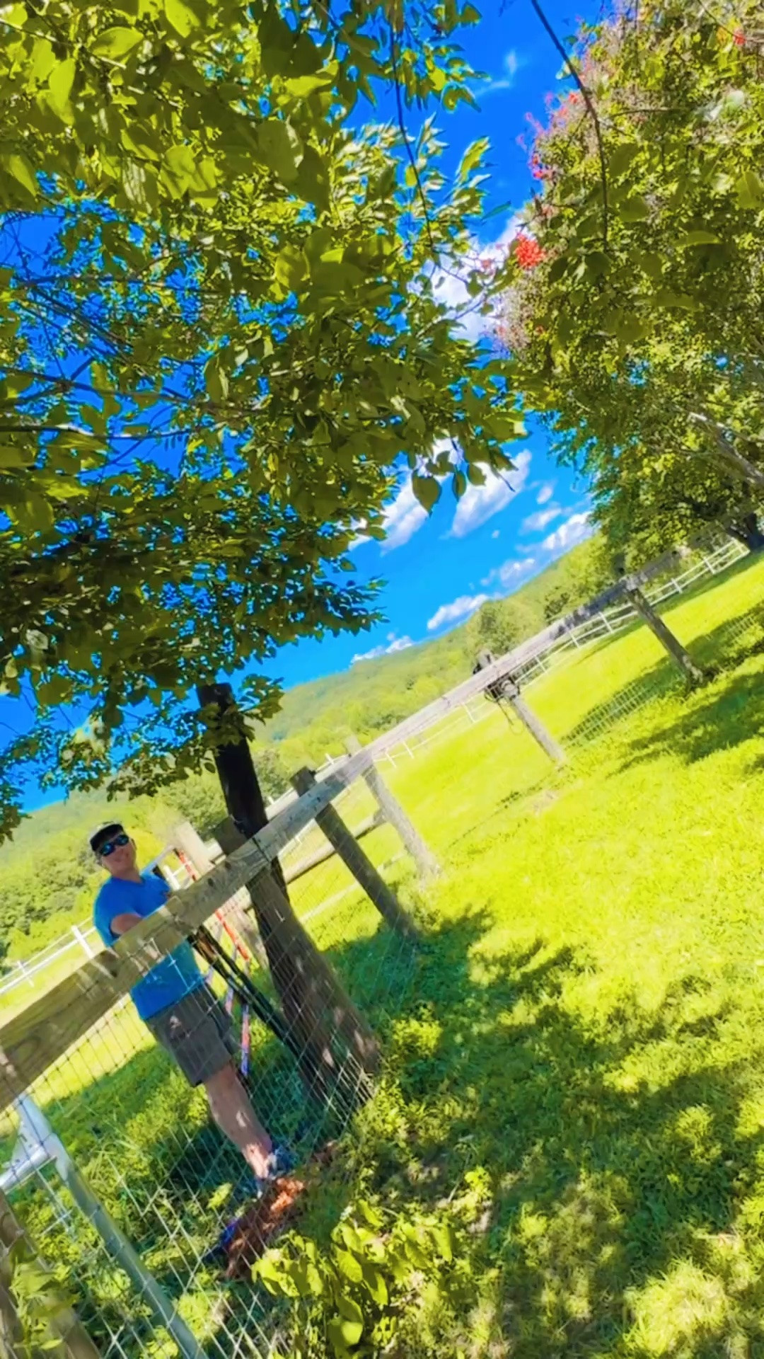 Since we moved to the farm, we have wanted to add a gate 🪵 from the backyard to the back pastures of our property so the boys 👶🏼🩵👶🏼 can go roam and run wild and free out there, too, while keeping Red 🐶 and the chickens 🐓 in the fenced in backyard haha!! 🫶🏽 We spend SO much time 👏🏽 in the backyard (even though we have 12 acres lol 😆 ) because of the convenience and I’m giddy to have this gate in so they boys can explore down to the trees and all the way down to the trees down by the road now, too!! 🛻 Anyhoo, my handsome man 💪🏽 has been hard at work making this happen this Sunday afternoon 🌞 and I’m so excited about it y’all!!! 🤭🤗 Yay for all the pasture play with these breathtaking views ahead!!! 🌾🌼 Love this dream 💭 childhood we are getting to give our babies out here… worth every bit of what it took to get here!!! 😍 #chaseyourdreamsandliveonpurpose #lifeonthefarm #alltheland