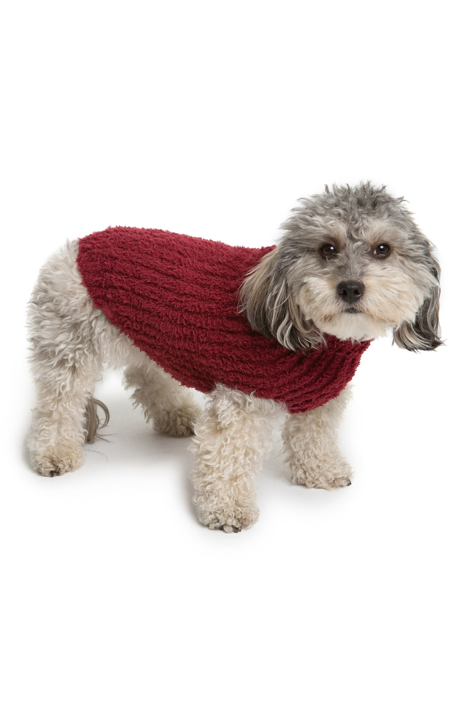CozyChic™ Ribbed Dog Sweater | Nordstrom