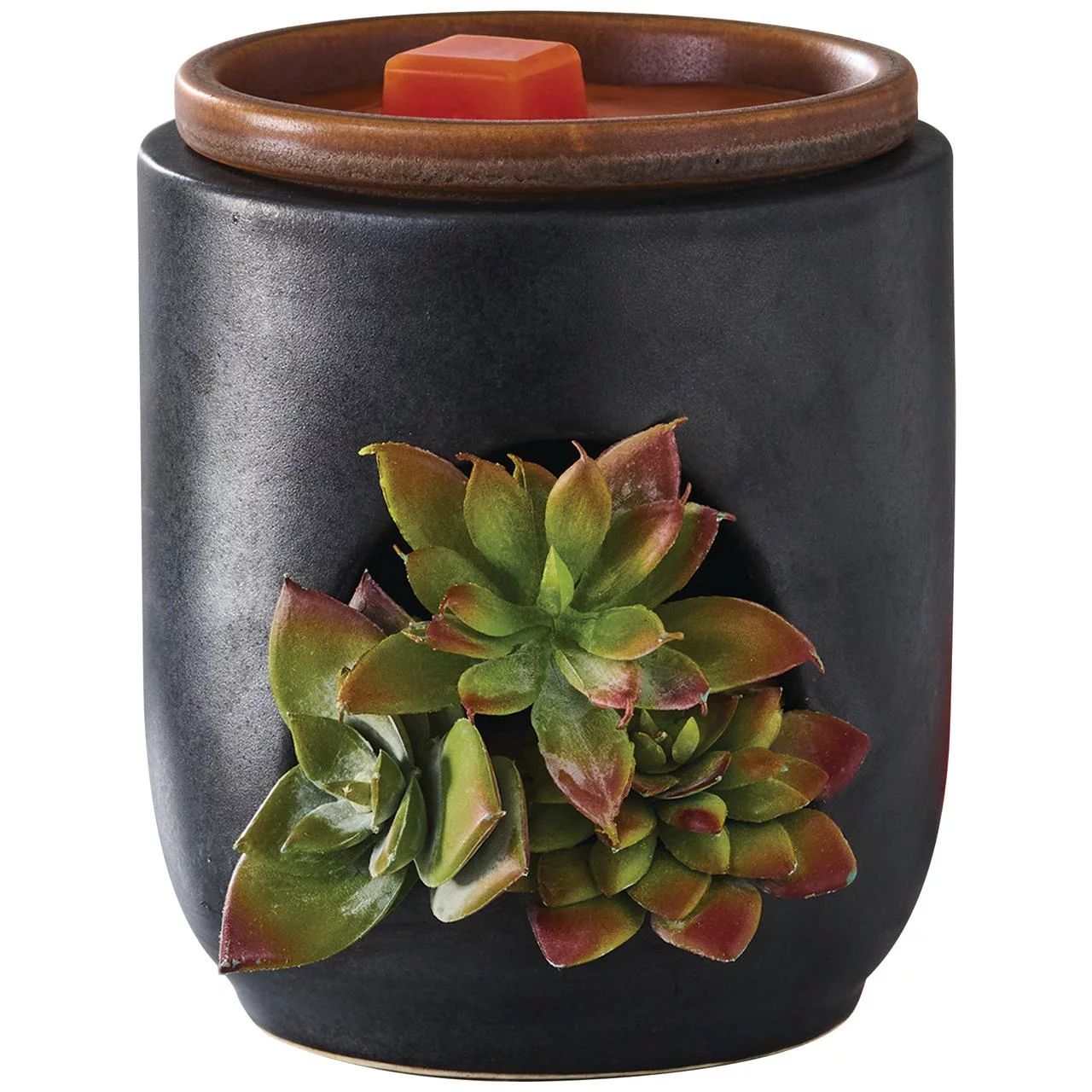 Better Homes & Gardens Full Size Fragrance Warmer, Succulent | Walmart (US)