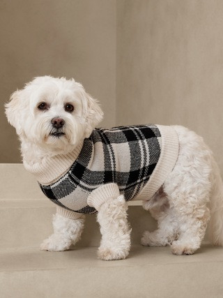Lazar Plaid Dog Sweater | Banana Republic (US)