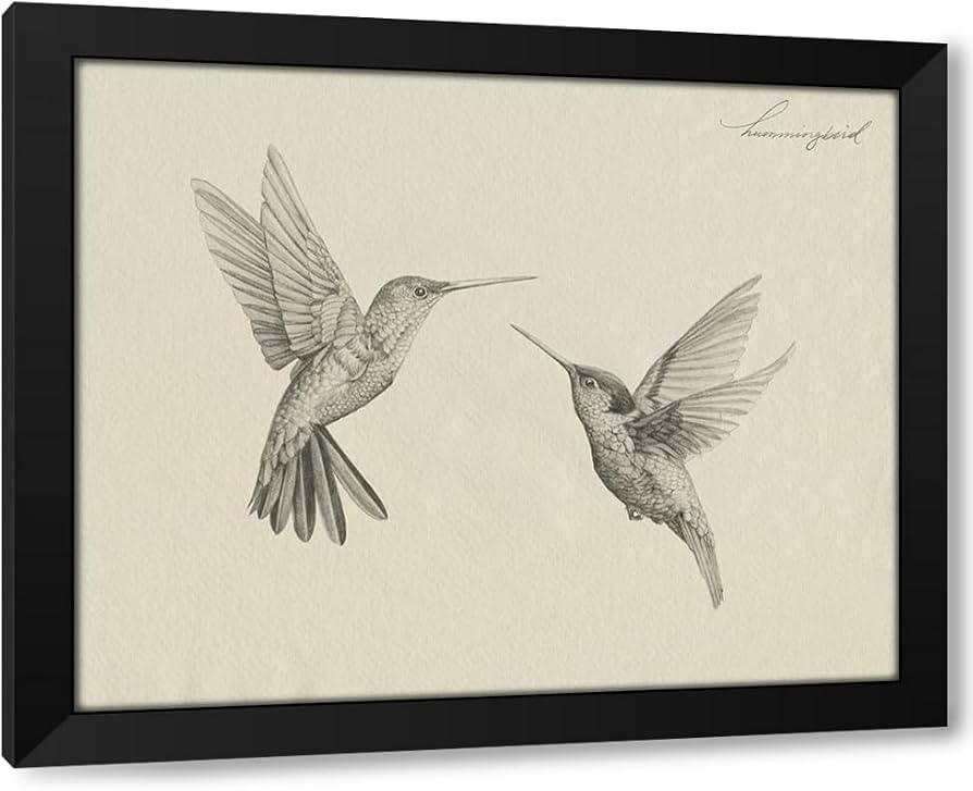 ArtDirect Hummingbird Sketch I Custom Framed Art Print Giclee Print or Canvas Options with Variou... | Amazon (US)