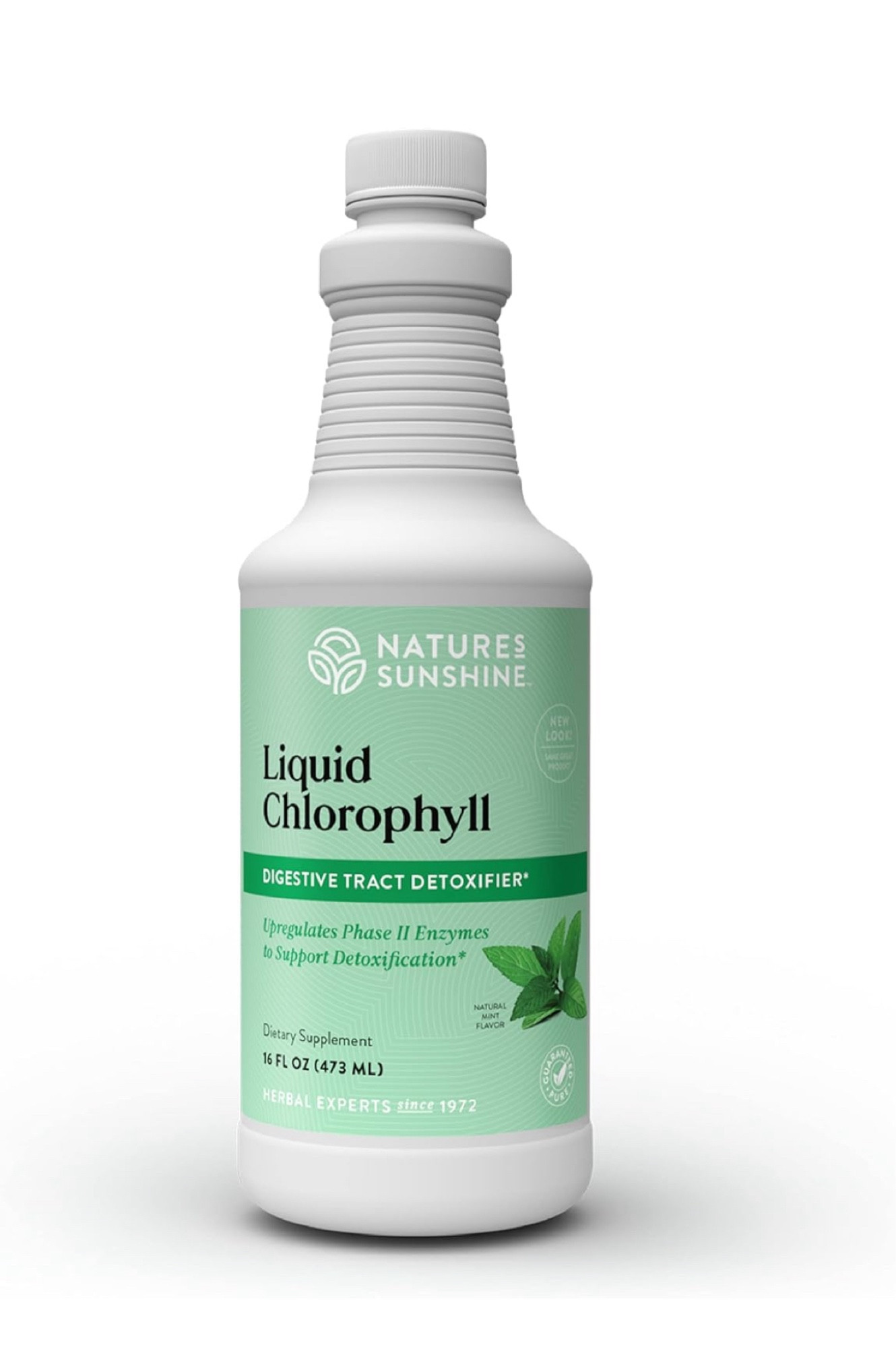 Chlorophyll Water 10/10!! 