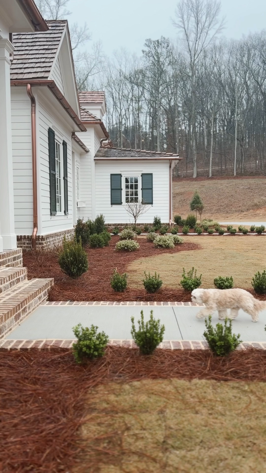 Small in button down 
26 with 30” inseam in jeans 