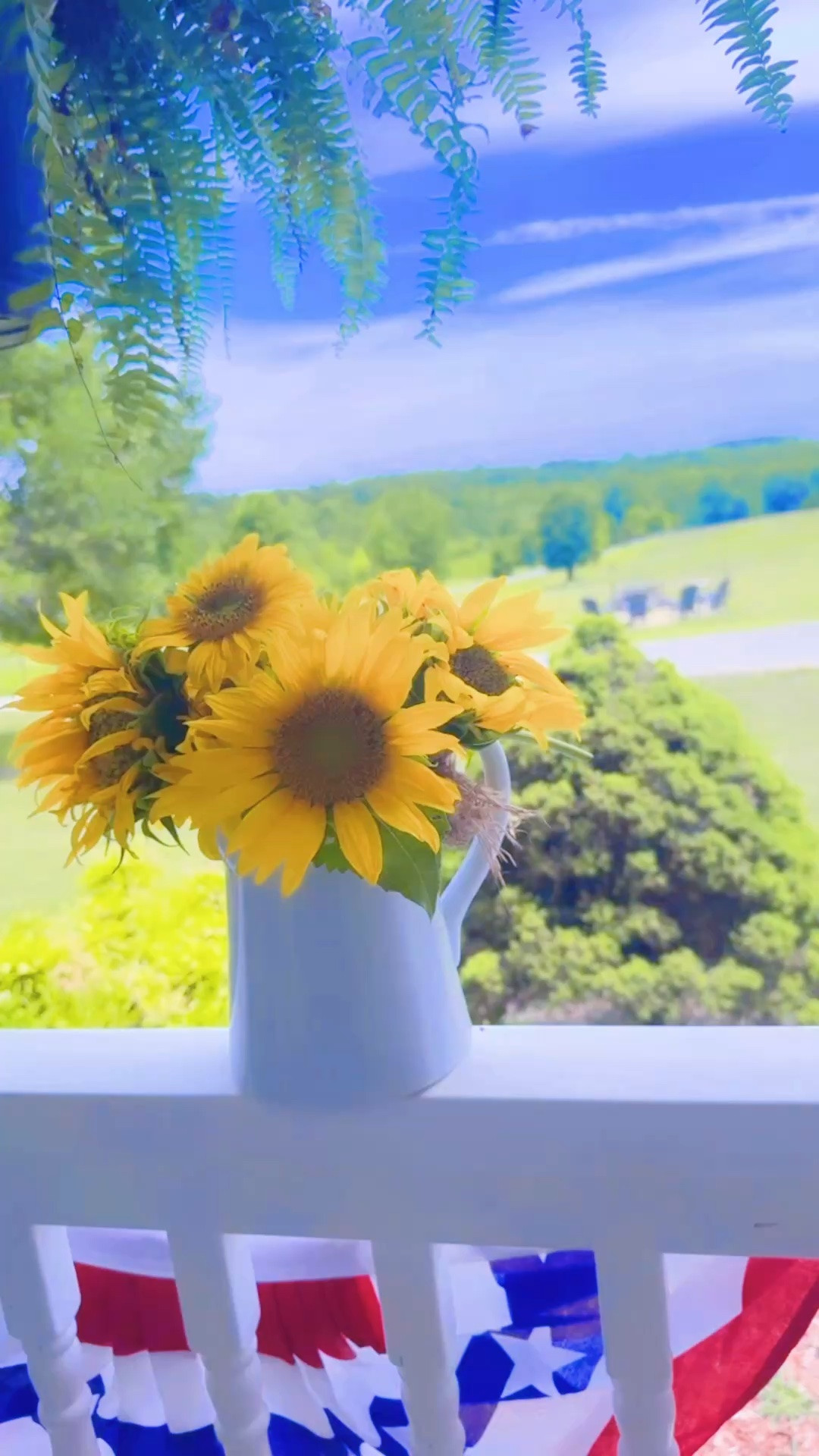 Truly couldn’t have dreamed this up if I tried… what a view 😍🌻🌾🌳
#homesweethome #farmsweetfarm