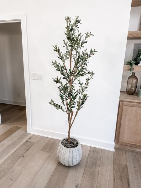My faux olive tree! Perfect for any room you want to spruce up!

walmart home, walmart finds, faux tree decor, home decor ideas, simple home decor

#LTKhome #LTKfindsunder100