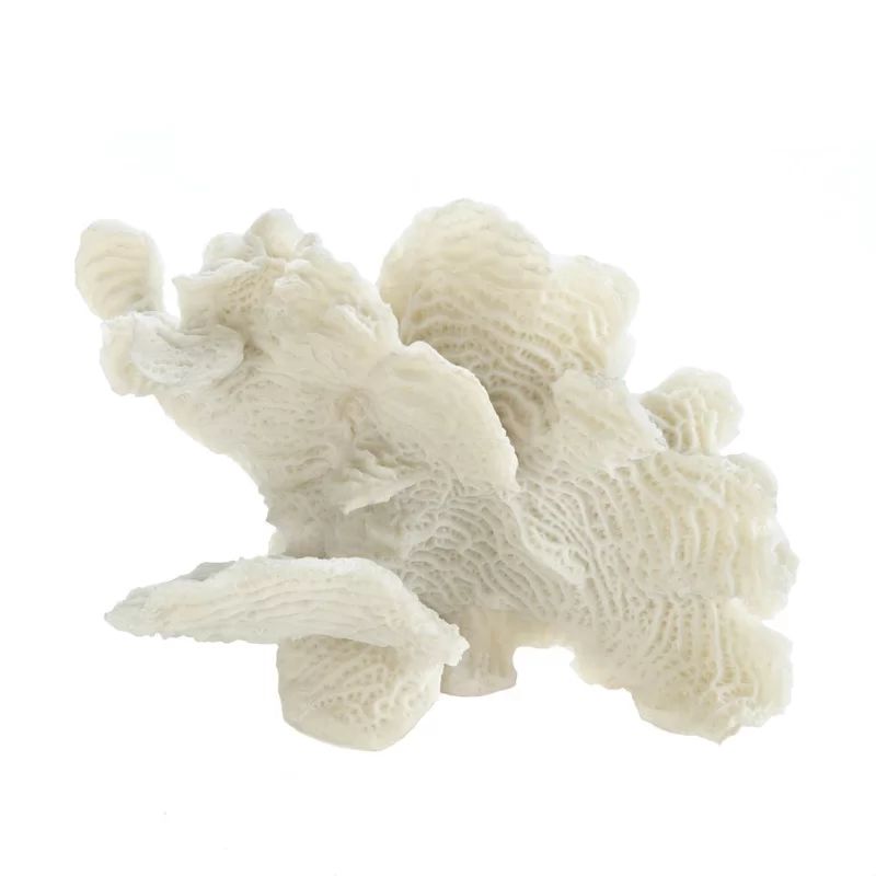 Tockington Coral Tabletop Decor Sculpture | Wayfair Professional