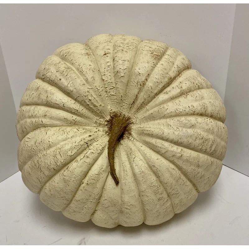 Jumbo Pumpkin | Wayfair North America