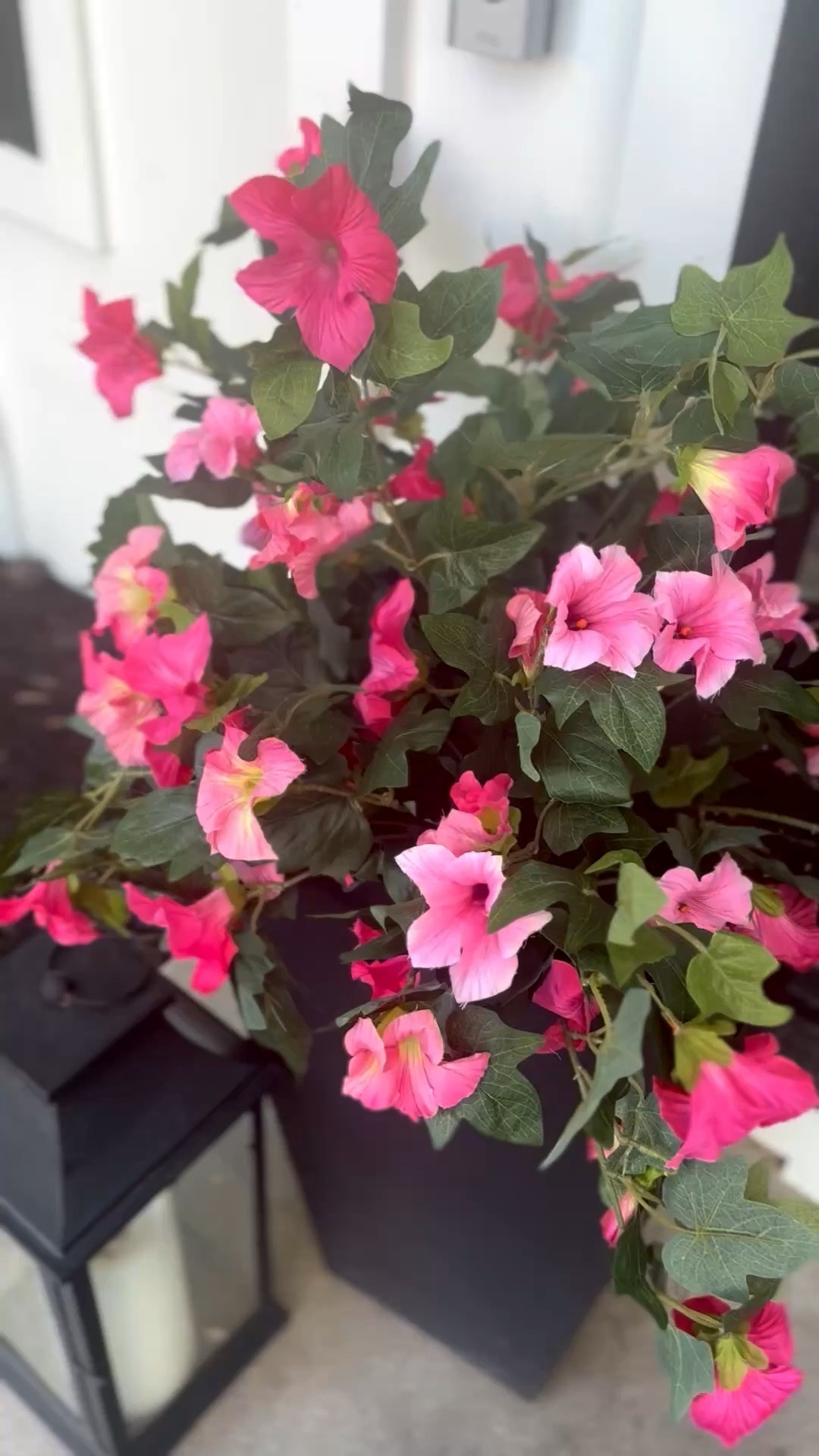 No more watering flowers for me!  I can’t believe how real these faux petunias look.  UV and fade resistant too, so you can use year over year.

#LTKMothersDay #LTKSeasonal #LTKHome