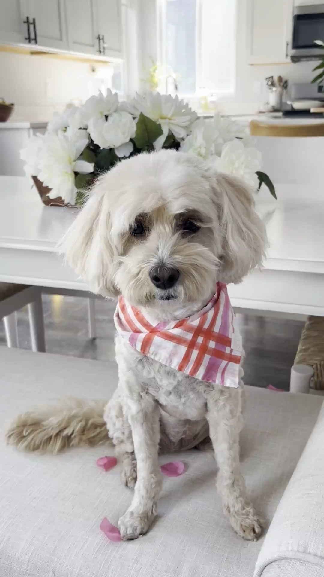 #LTKValentine #LTKdayinmylife #LTKHome