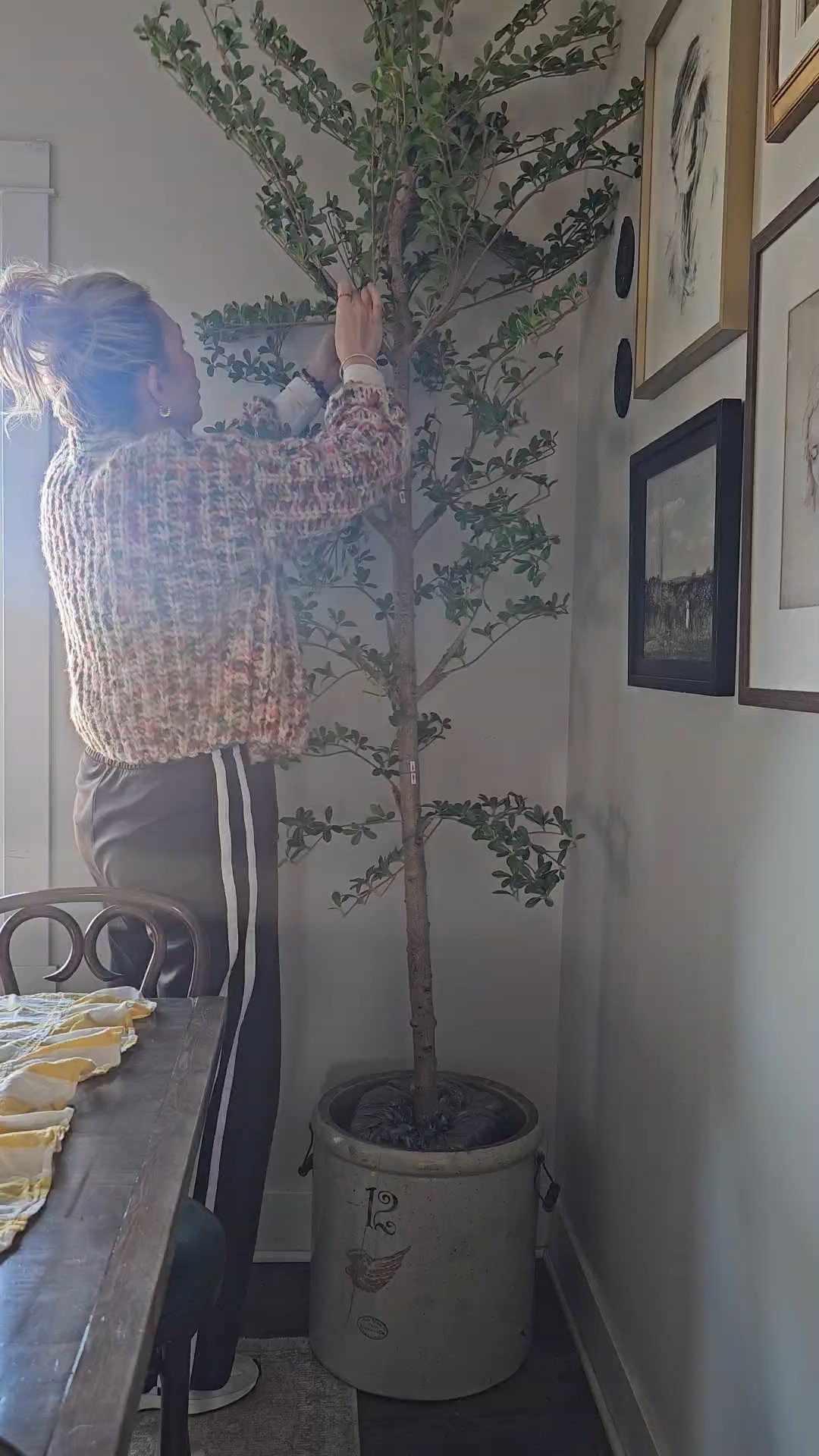The best faux shady lady tree

#LTKHome #LTKOver40 #LTKSeasonal
