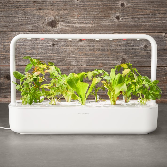 Click &amp; Grow Smart Garden System, 9-Pod, White | Williams-Sonoma