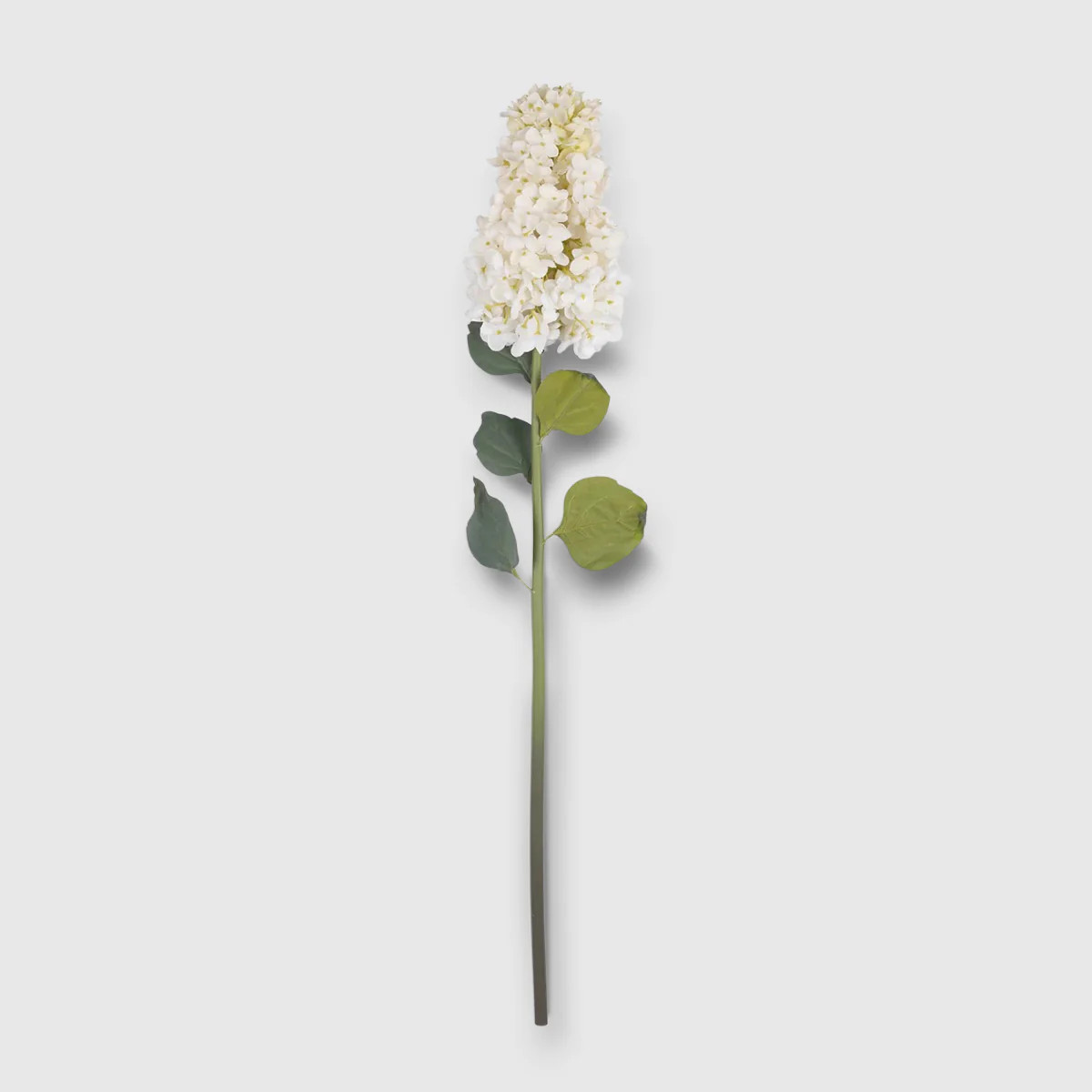 Faux Hydrangea Paniculata | Lifelike Bloom for Arrangements | Bloomist, Inc