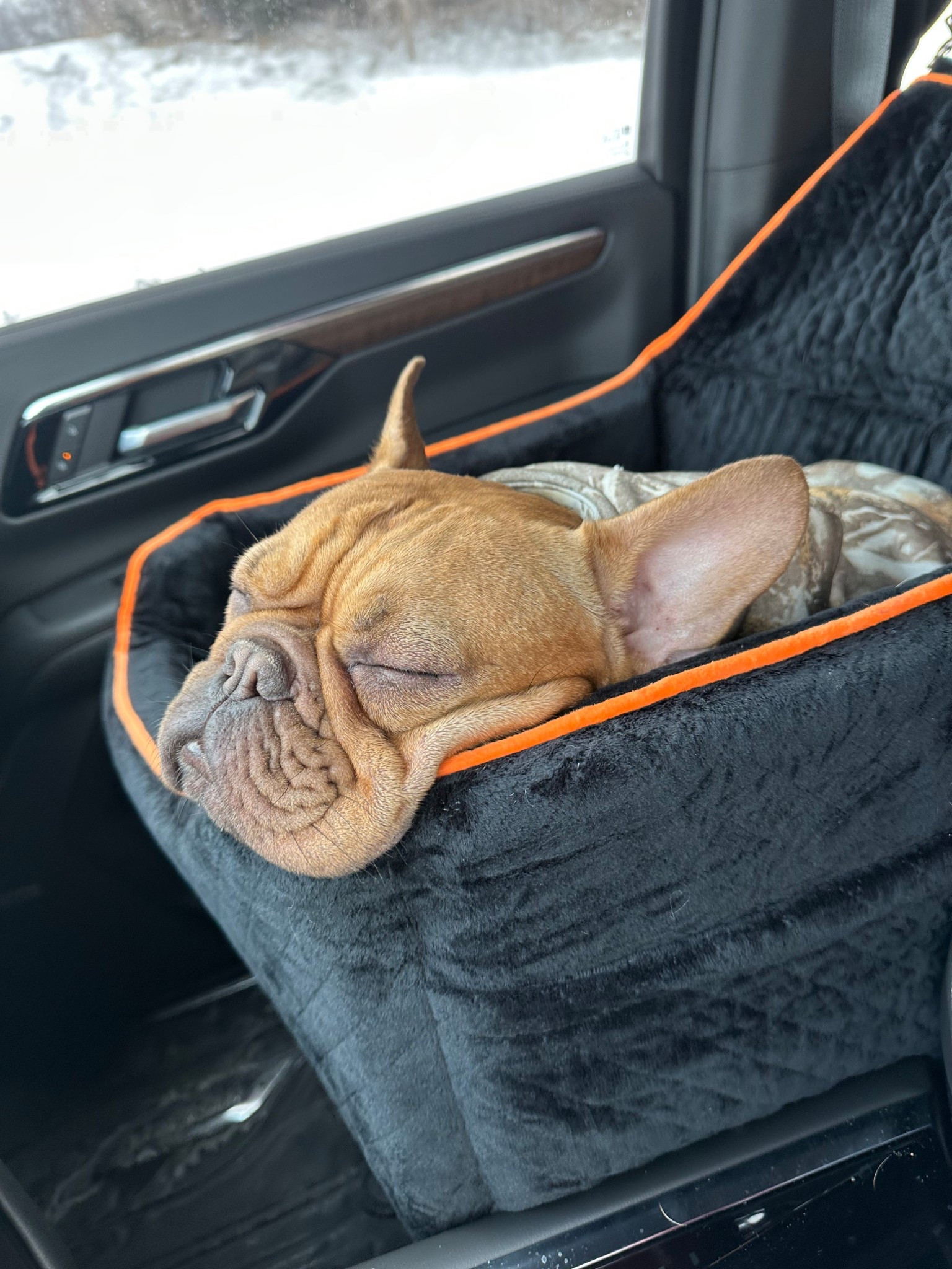 Dog car seat! This is the biggest most functional I could find for a 40
Lb dog. 

#LTKFamily #LTKPets #LTKTravel