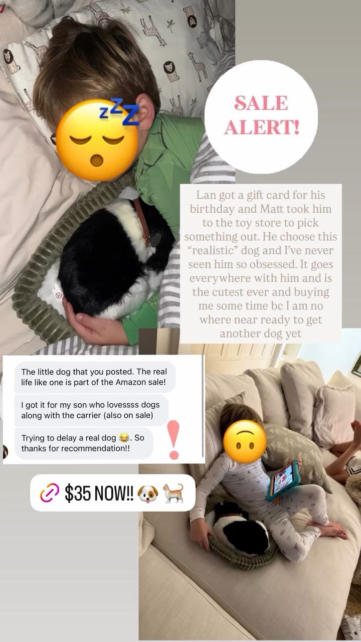 If you’re kids have been begging for a pet but you’re not quite ready, get them this! Lan is obsessed and they have so many to choose from 

Amazon deal, kids gift idea