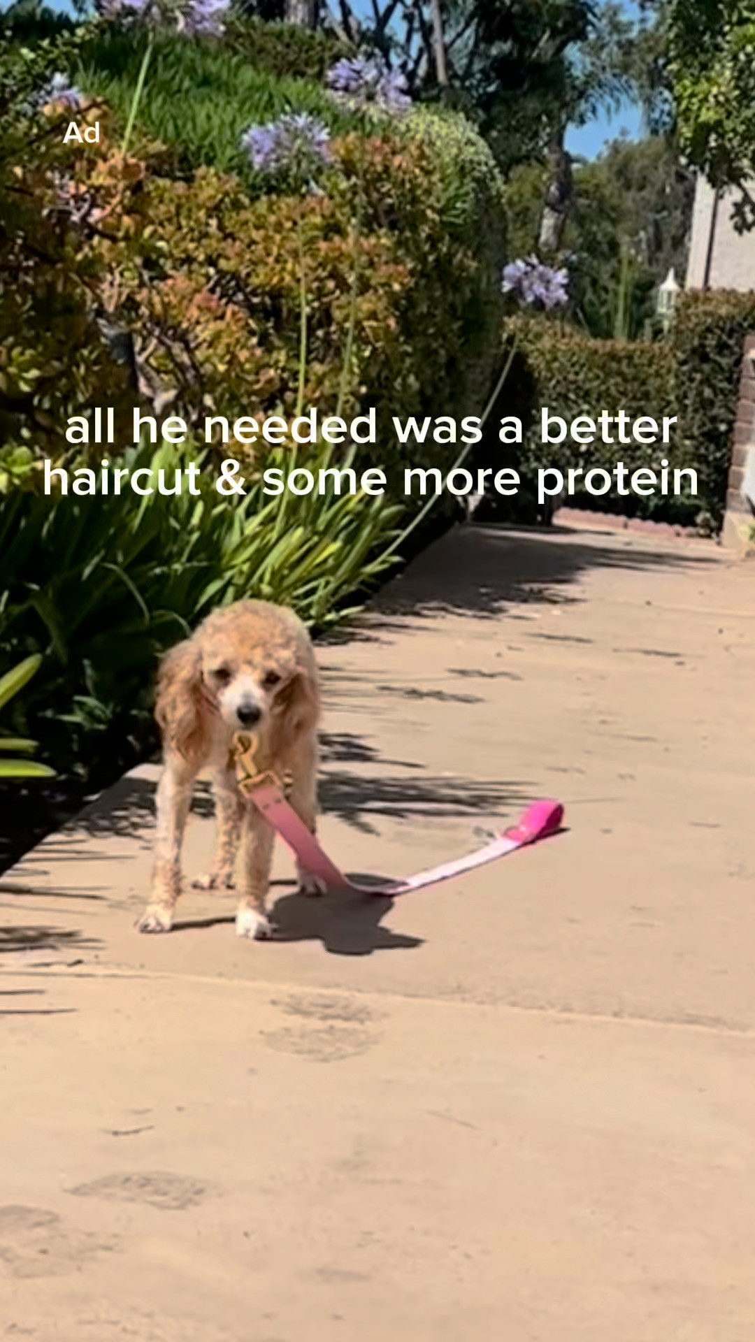 #ad my proudest accomplishment LOL   @RowdiesDogTreats @Target


 #RowdiesDogTreats #RowdiesPartner #GetRowdies #TargetPartner #Target 

 