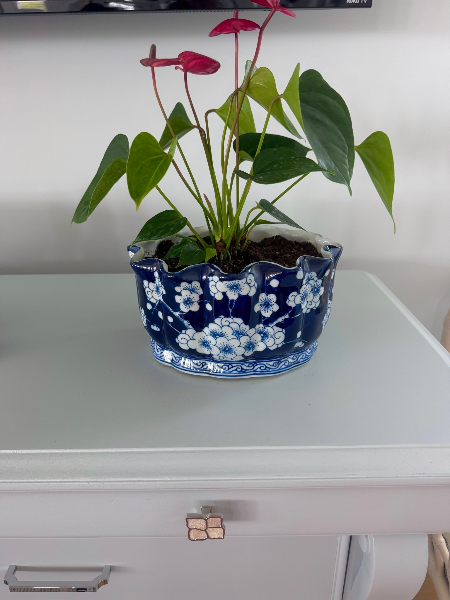 The perfect Chinoiserie planter is timeless, the perfect size and reasonably priced

#LTKHome