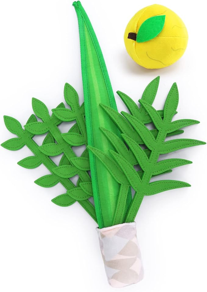 Sukkot Decorations Plush Lulav and Etrog Set Children's Sukkot Toys Sukkah Party Decorations Kids... | Amazon (US)