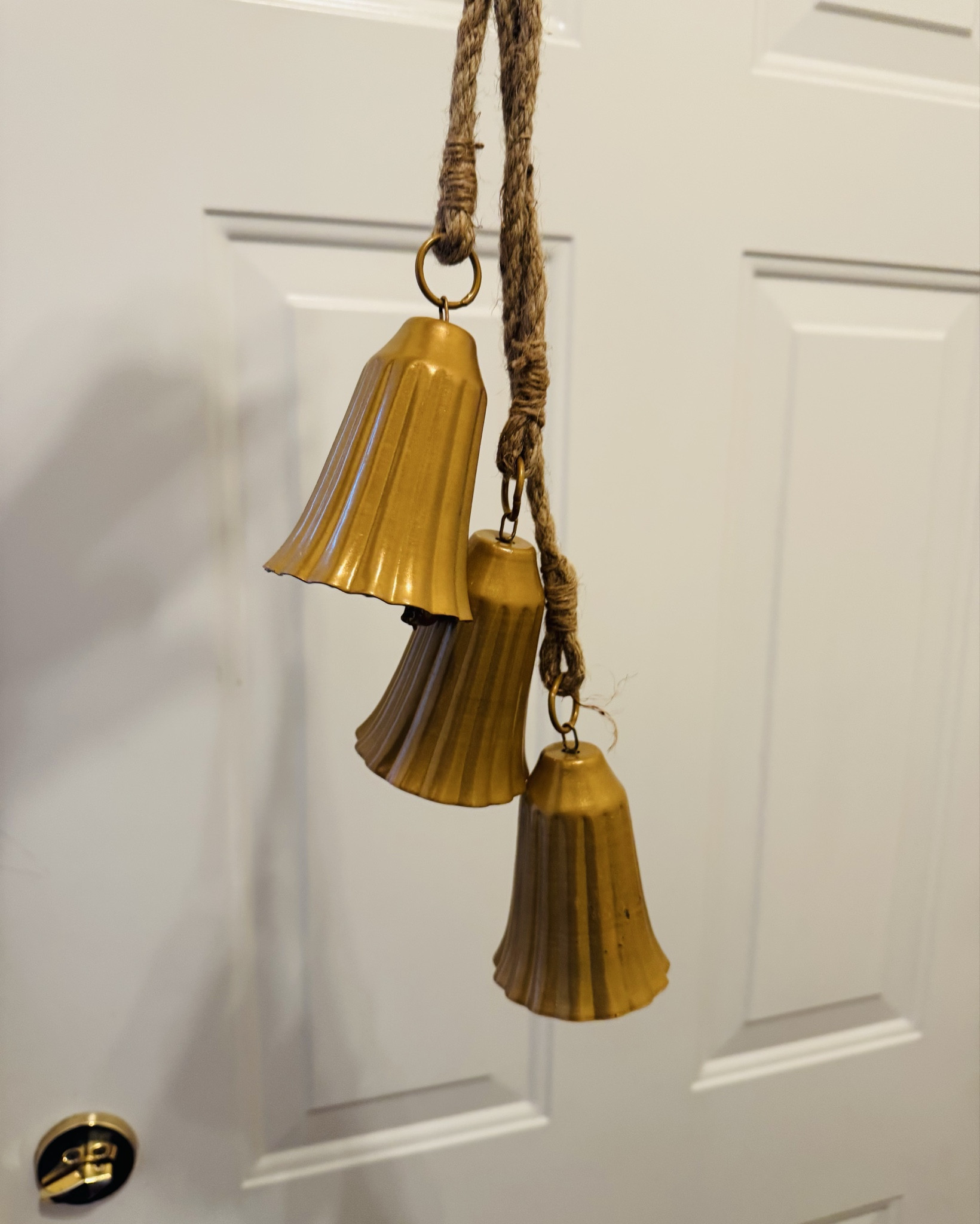 New bells for my front door✨

#LTKHome #LTKSeasonal #LTKHoliday